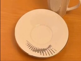 इस कप और प्याली में छिपी है एक चिड़िया रानी, उड़ती भी है, विश्वास ना हो तो ये वीडियो देख लें इस कप और प्याली में छिपी है एक चिड़िया रानी, उड़ती भी है, विश्वास ना हो तो ये वीडियो देख लें