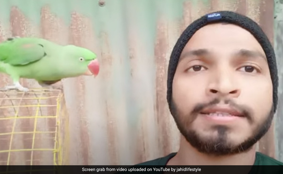 Assam YouTuber Arrested For Offering To Sell Parakeets Online
