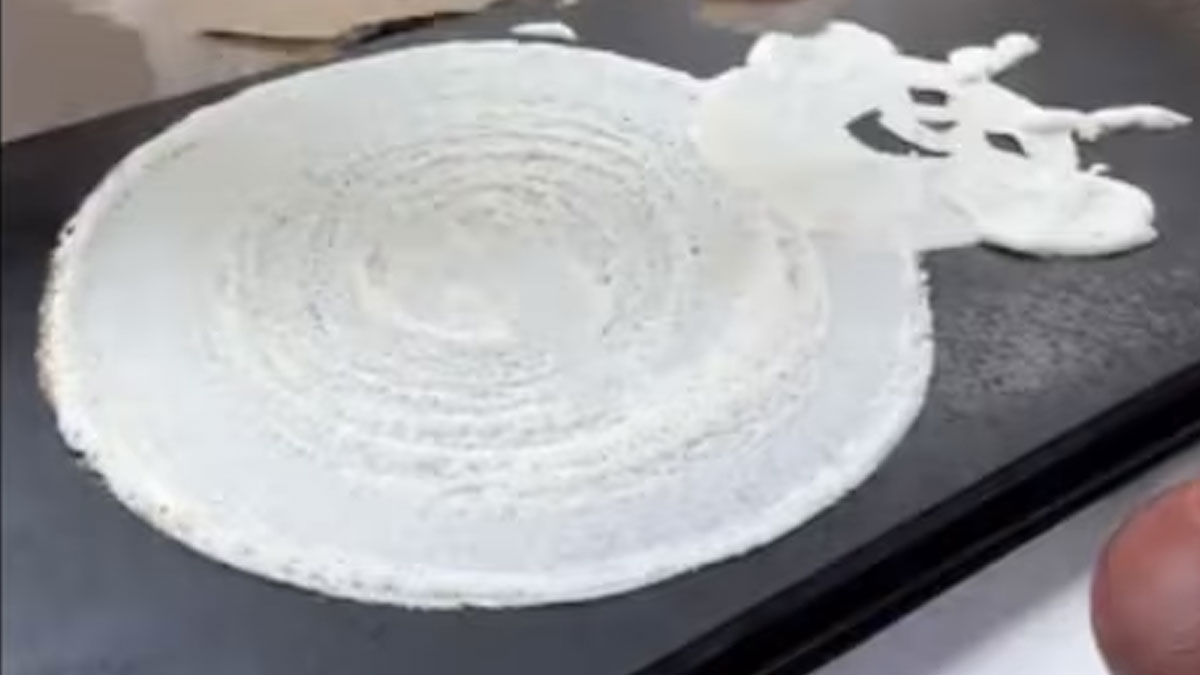 "Super Cute": This Cat-Shaped Dosa Wins Hearts On The Internet