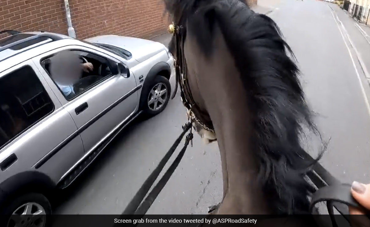 Watch: UK Police On Horses Chase Driver Using Phone Through Busy Street