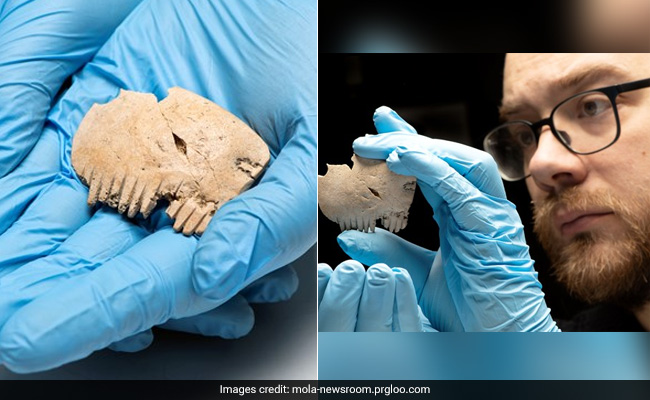 Incredibly Rare "Bar Hill Comb" Made From Human Skull Found By UK Archaeologists