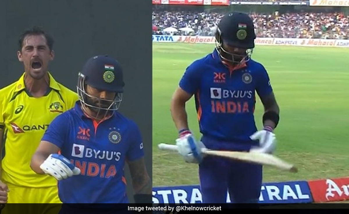 IND vs AUS: स्टार्क की आग उगलती गेंद को संभाल नहीं पाए विराट कोहली, DRS भी नहीं लिया और चलते बने