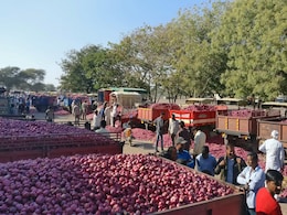 Maharashtra Onion Farmers To Get Compensation Amid Steep Fall In Prices Maharashtra Onion Farmers To Get Compensation Amid Steep Fall In Prices