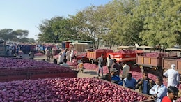 Onion Export Duty "Timely" Move To Boost Domestic Supply: Top Official