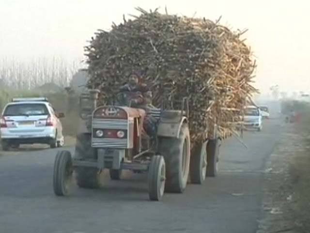 Why Sugar Mills Are Closing Down In Maharashtra