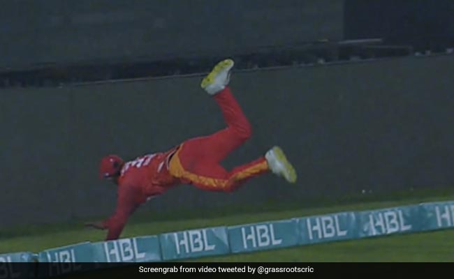 अजब-गजब, फिल्डर बन गया सुपरमैन, हीरोगिरी दिखाकर बैटर को करवाया कैच आउट - Video