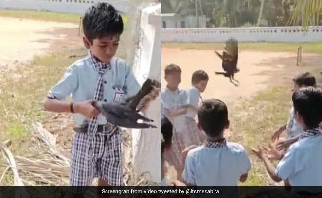 Watch: School Boy Rescues A Crow Stuck In A Net, Moves Internet With His Kindness