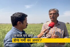 मार्च में बढ़ती गर्मी और तेज धूप का गेहूं की फसल पर क्या पड़ेगा असर? मार्च में बढ़ती गर्मी और तेज धूप का गेहूं की फसल पर क्या पड़ेगा असर?