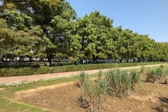 Theme Behind Rashtrapati Bhawan's Spiritual Garden: Peace And Communal Harmony Theme Behind Rashtrapati Bhawan's Spiritual Garden: Peace And Communal Harmony