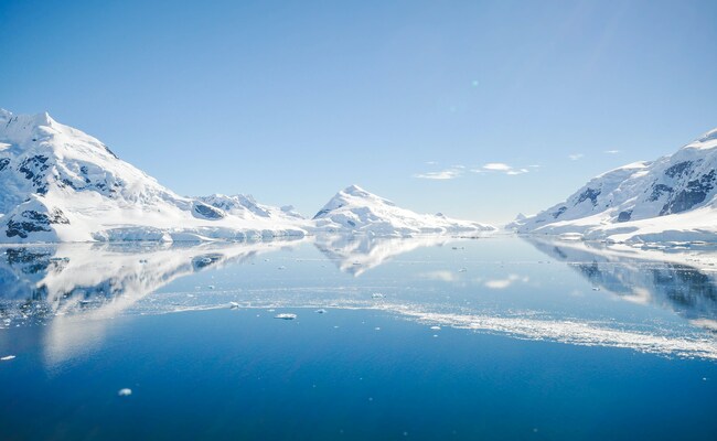 Bird Flu In Antarctica: What Is H5N1 Strain? How Lethal Is It? Explained