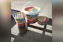 Move To Rename Curd 'Dahi' Leaves A Sour Taste In Tamil Nadu Move To Rename Curd 'Dahi' Leaves A Sour Taste In Tamil Nadu