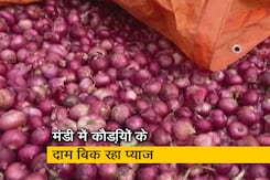 देश प्रदेश : महाराष्ट्र में किसानों ने प्याज की फसल में लगाई आग, उचित दाम नहीं मिलने से हैं परेशान देश प्रदेश : महाराष्ट्र में किसानों ने प्याज की फसल में लगाई आग, उचित दाम नहीं मिलने से हैं परेशान
