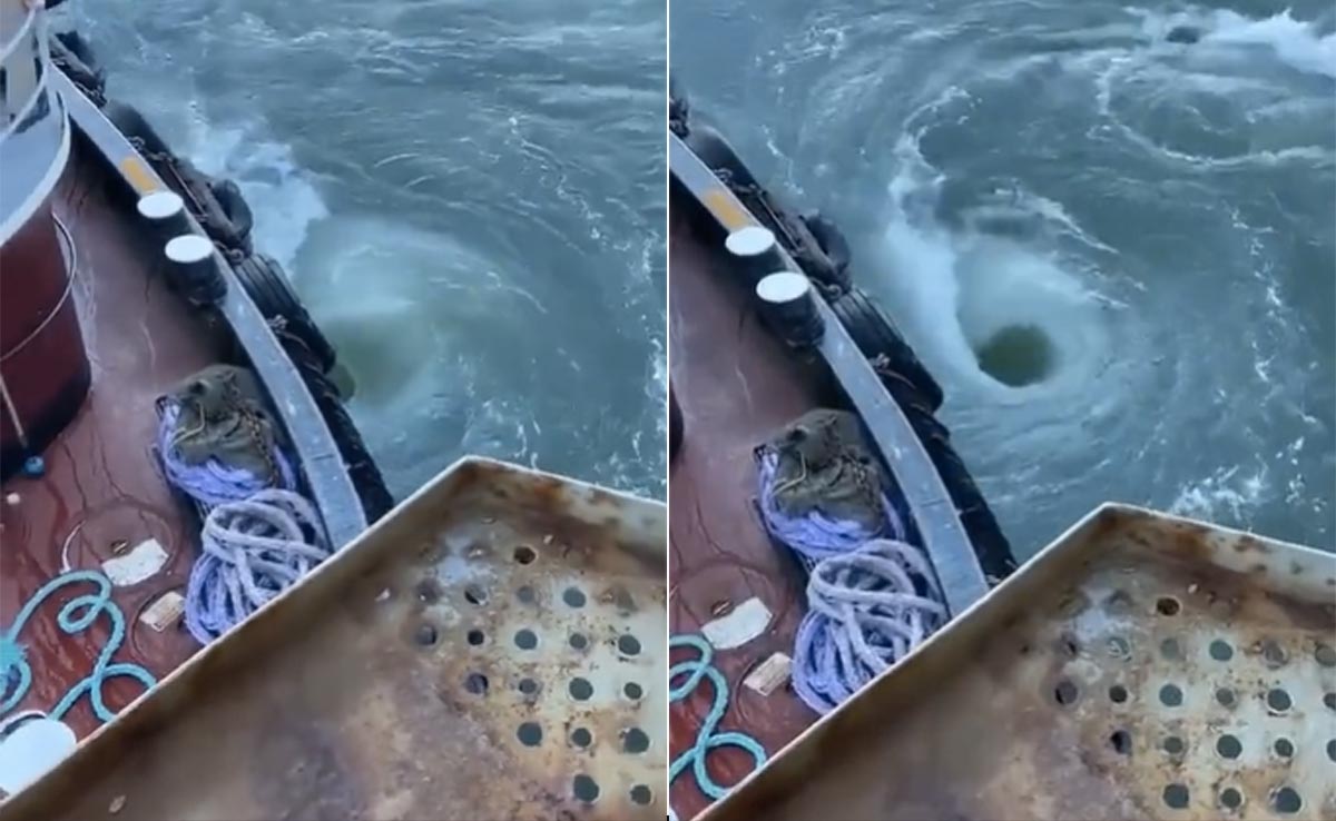 VIDEO: क्या कभी देखा है समुद्र में उठता भंवर, बड़े से बड़े जहाज को भी देता है डुबा, जानिए इसके पीछे का वैज्ञानिक कारण