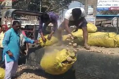 Video: Bihar Farmers Dump Hundreds Of Potato Sacks On Road, Demand This Video: Bihar Farmers Dump Hundreds Of Potato Sacks On Road, Demand This