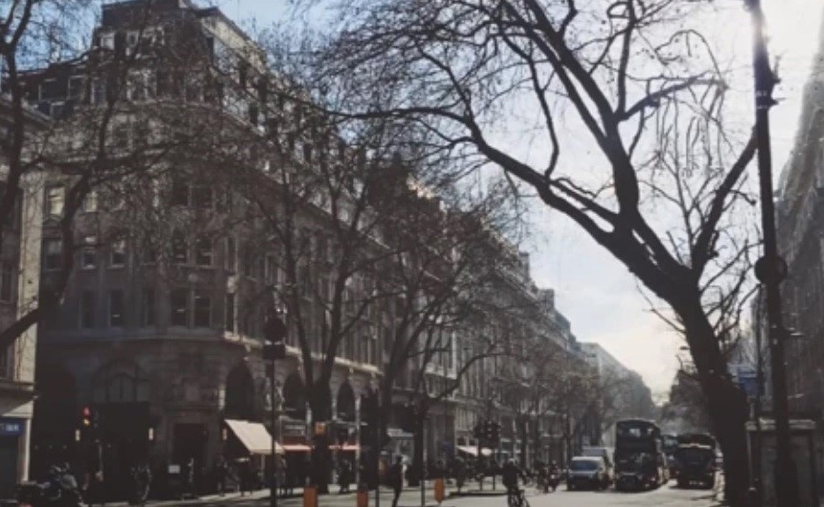 तस्वीर में कहां छिपा है कुत्ता, बहुत कम लोग ही इसे खोज पाए हैं, 3 मिनट के अंदर खोज कर बताइए