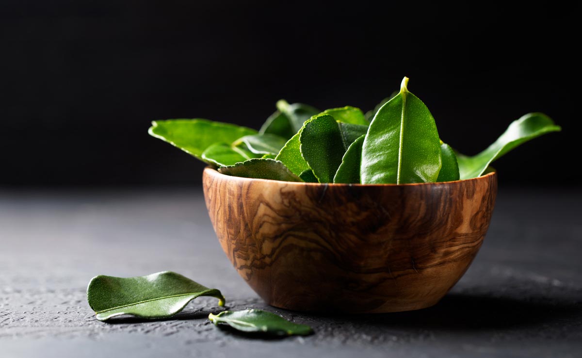 Adding Curry Leaves To Your Diet: 6 Surprising Health Benefits You Should Know