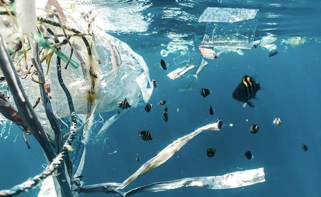 Over 170 Trillion Plastic Particles Found In Oceans, Could Nearly Triple By 2040: Study