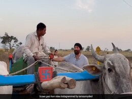 Gadar 2 की शूटिंग के दौरान सनी देओल के साथ हुआ मजेदार वाकया, बैलगाड़ीवाले ने पूछा- आप सनी जैसे लग रहे हैं Gadar 2 की शूटिंग के दौरान सनी देओल के साथ हुआ मजेदार वाकया, बैलगाड़ीवाले ने पूछा- आप सनी जैसे लग रहे हैं