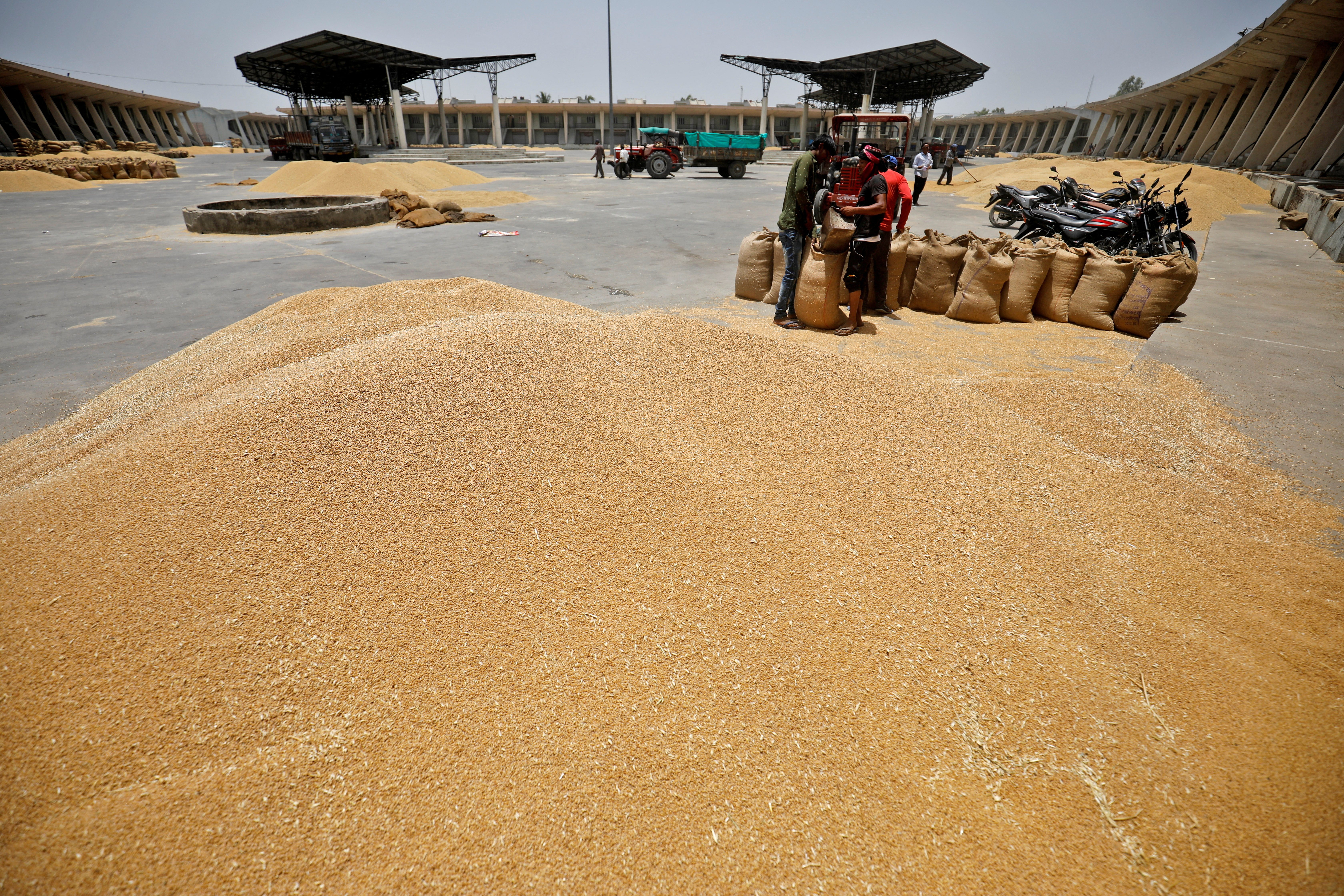 India Donates 10,000 Tonnes Of Wheat To Afghanistan Amidst Food Crisis