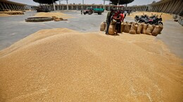 As Long As India Does Not... : Food Corporation FCI Chief On Wheat Export Ban