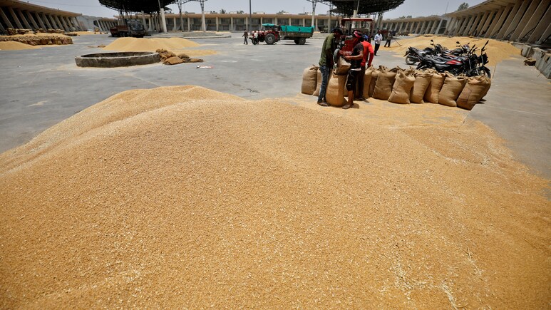 Wheat Production Dented By Heatwave , Could Limit Centre's Stock Holding