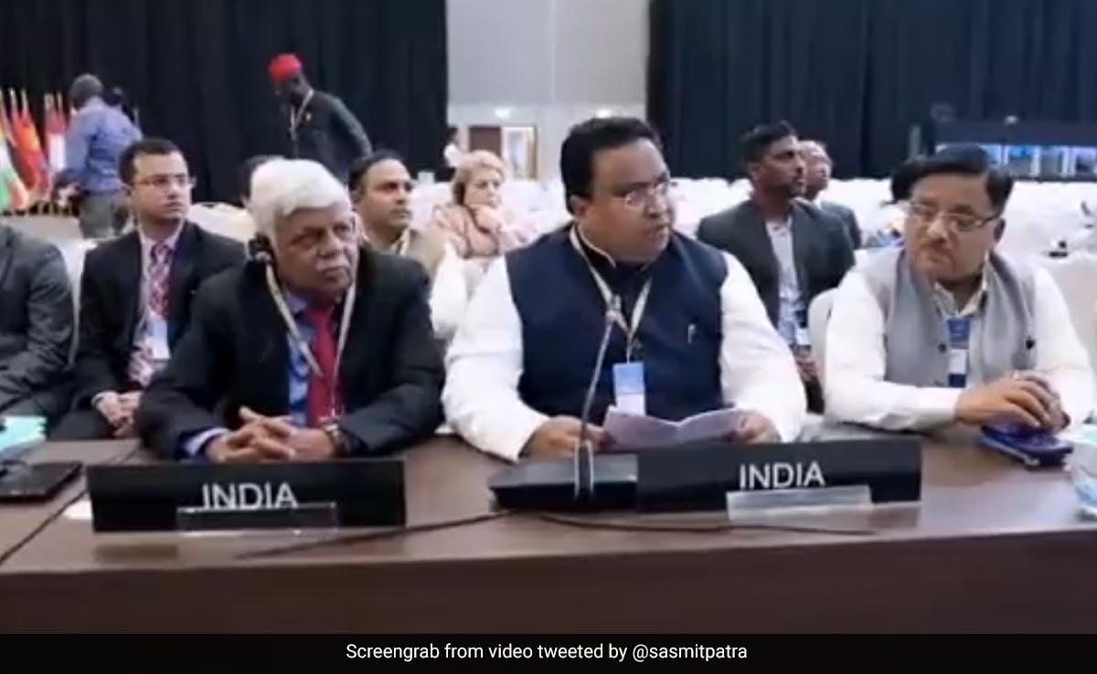 "Exporter Of Terrorists": India's Jibe At Pakistan Over Kashmir Remarks