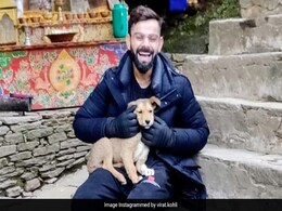 Virat Kohli Is All Smiles As He Poses With A Dog In This Throwback Pic Virat Kohli Is All Smiles As He Poses With A Dog In This Throwback Pic