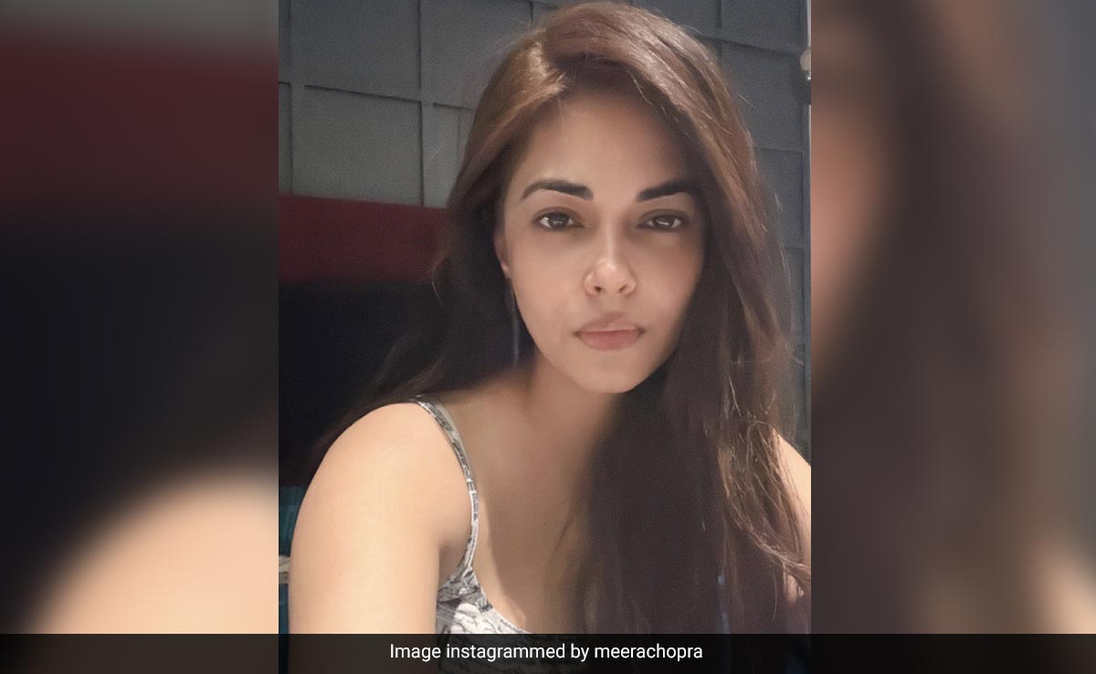 Meera Chopra On Cousin Priyanka's Success Despite Bollywood Politics: "Tight Slap On Their Faces"