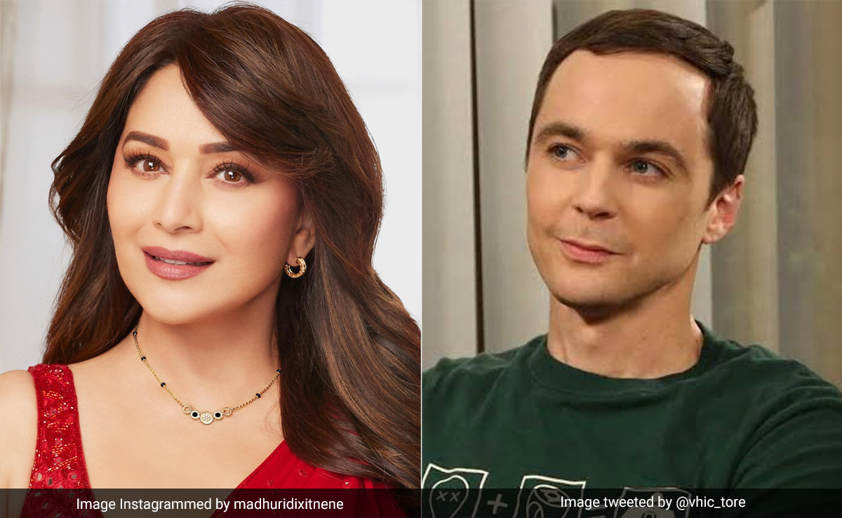 Netflix Gets Legal Notice Over Derogatory Remarks On Madhuri Dixit In 'The Big Bang Theory'