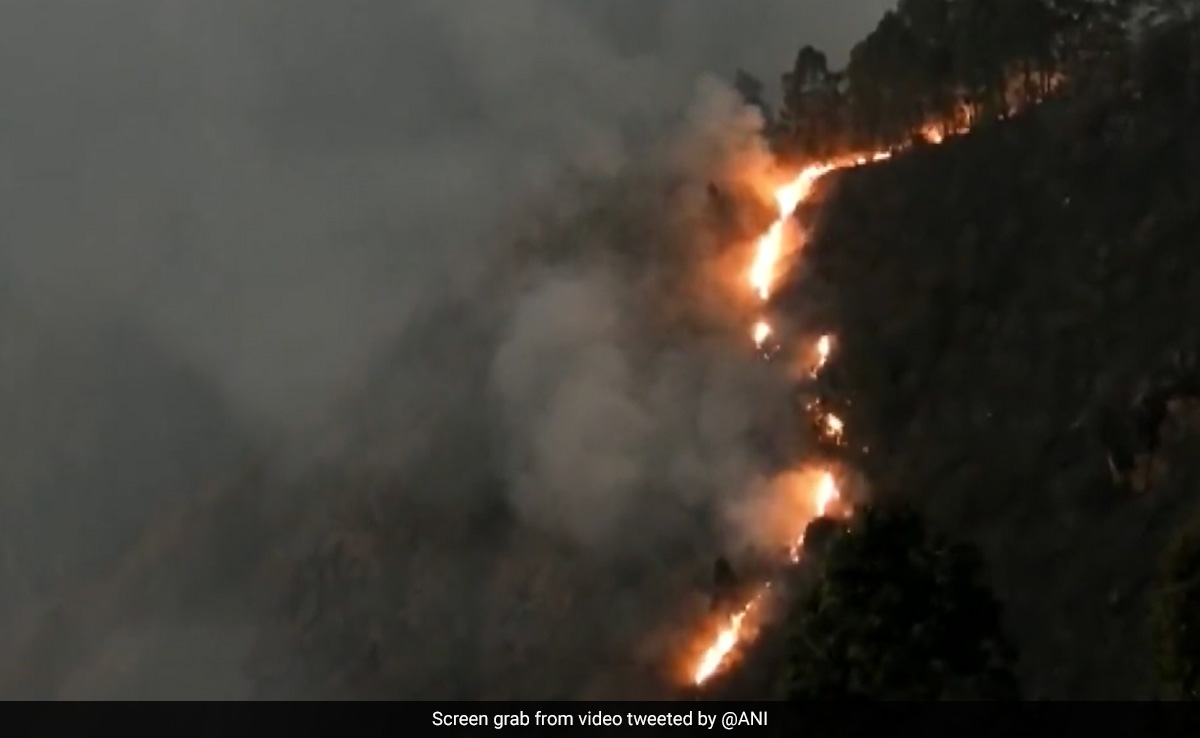 Video: Massive Forest Fire In Tamil Nadu's Kodaikanal Hills