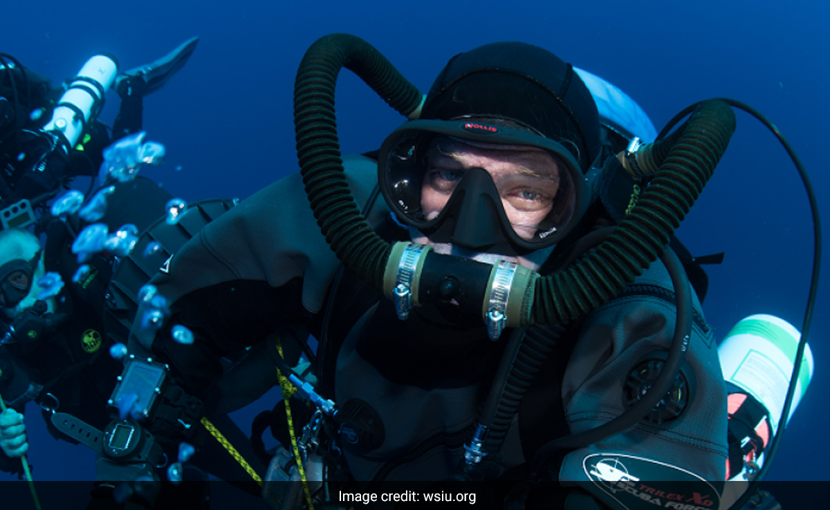Watch: Professor Nicknamed 'Dr Deep Sea' Spending 100 Days Underwater. Here's Why