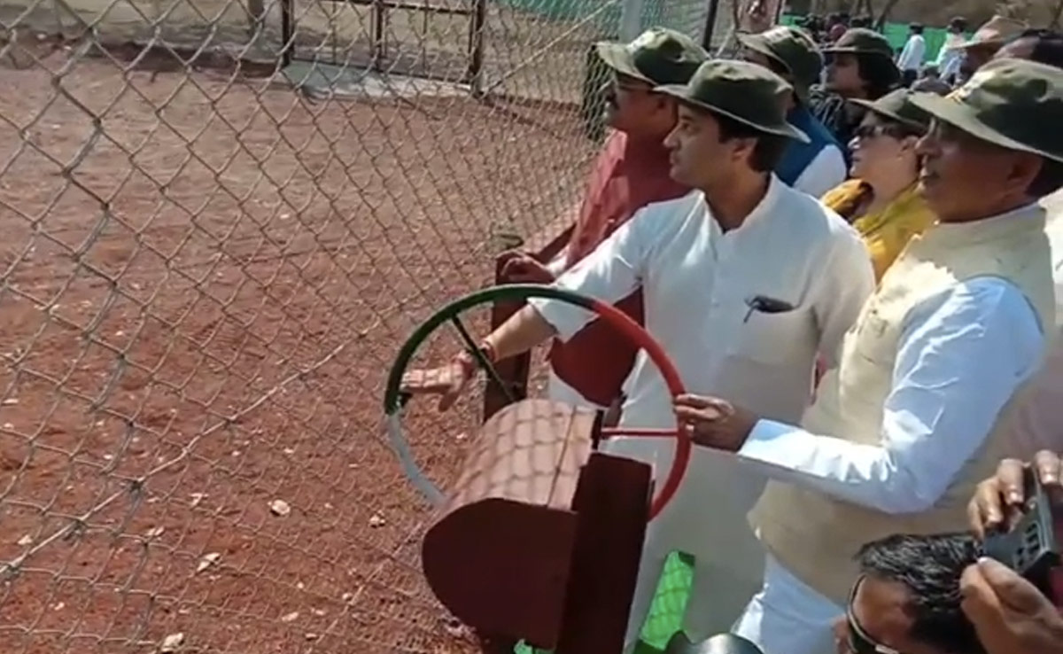 माधव नेशनल पार्क में 27 साल बाद सुनाई देगी बाघों की दहाड़, दो बाघों को बाड़े में छोड़ा गया