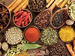 इंडियन क्विज़ीन के फेमस मसालें, इस 7 मसालों के बिना इंडियन व्यंजन हैं अधूरे 