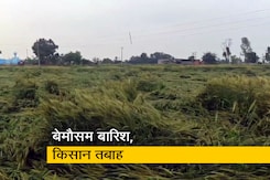 बेमौसम बारिश और ओलावृष्टि से किसानों को भारी नुकसान, सरकार से मुआवजे की मांग बेमौसम बारिश और ओलावृष्टि से किसानों को भारी नुकसान, सरकार से मुआवजे की मांग