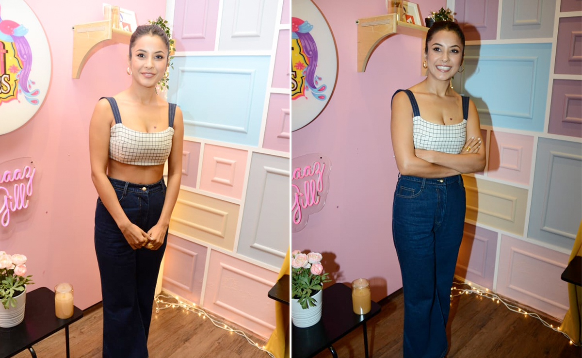Shehnaaz Gill In A Check Crop Top And Blue Flared Jeans Is A Spring Style Delight