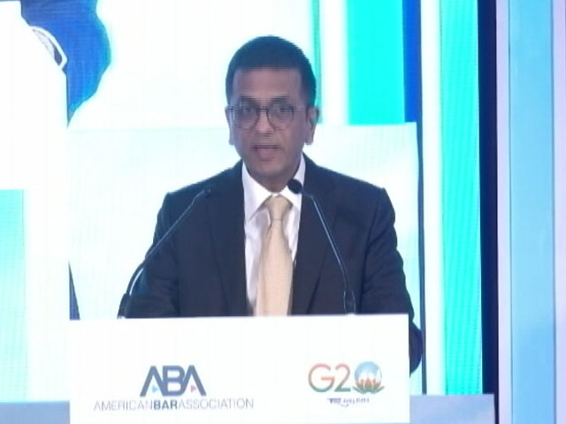 "People Short On Patience, Tolerance...": Chief Justice On Troll Menace