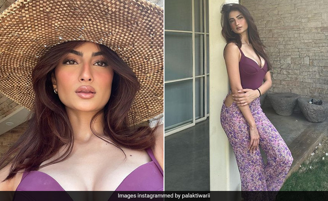 Palak Tiwari Certainly Looks Chic In A Purple Corset Top And Printed Pants With A Sun Hat