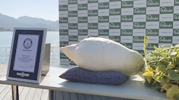 Japanese Company Grows Heaviest Radish, Bags Guinness World Record