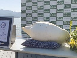 Japanese Company Grows Heaviest Radish, Bags Guinness World Record