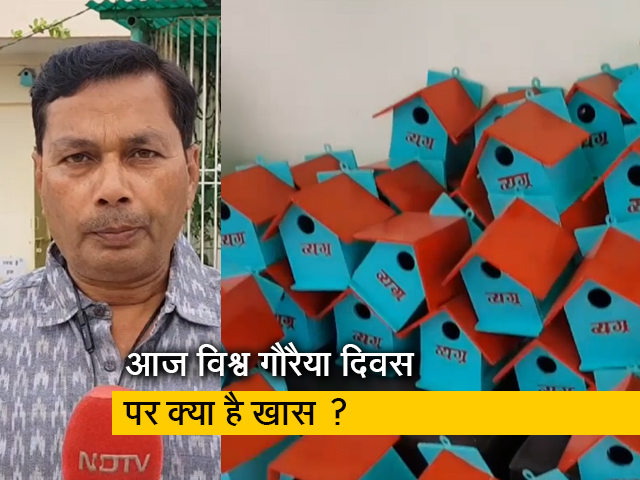 विश्व गौरैया दिवस : गौरैया संरक्षण के लिए लोगों ने लिया संकल्प, बांटे घोसले और पानी के पात्र