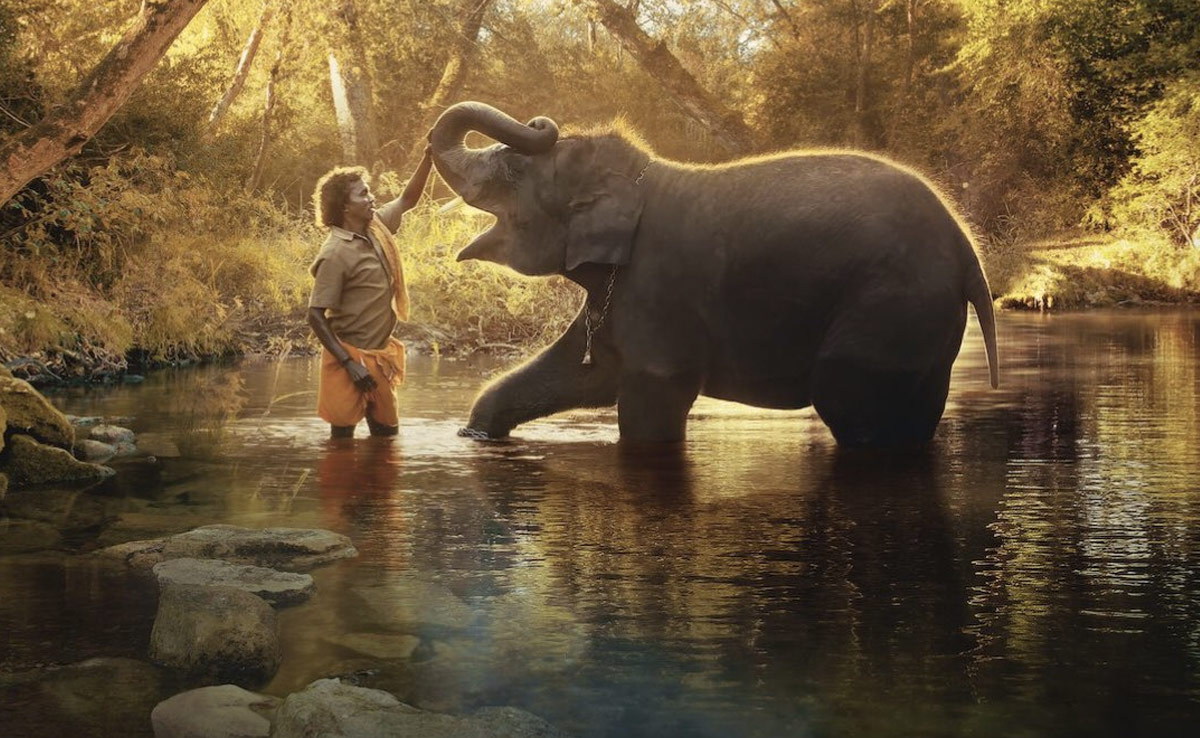 "The Elephant Whisperers" Couple Pose With Oscar Trophy, Melt Hearts On Internet