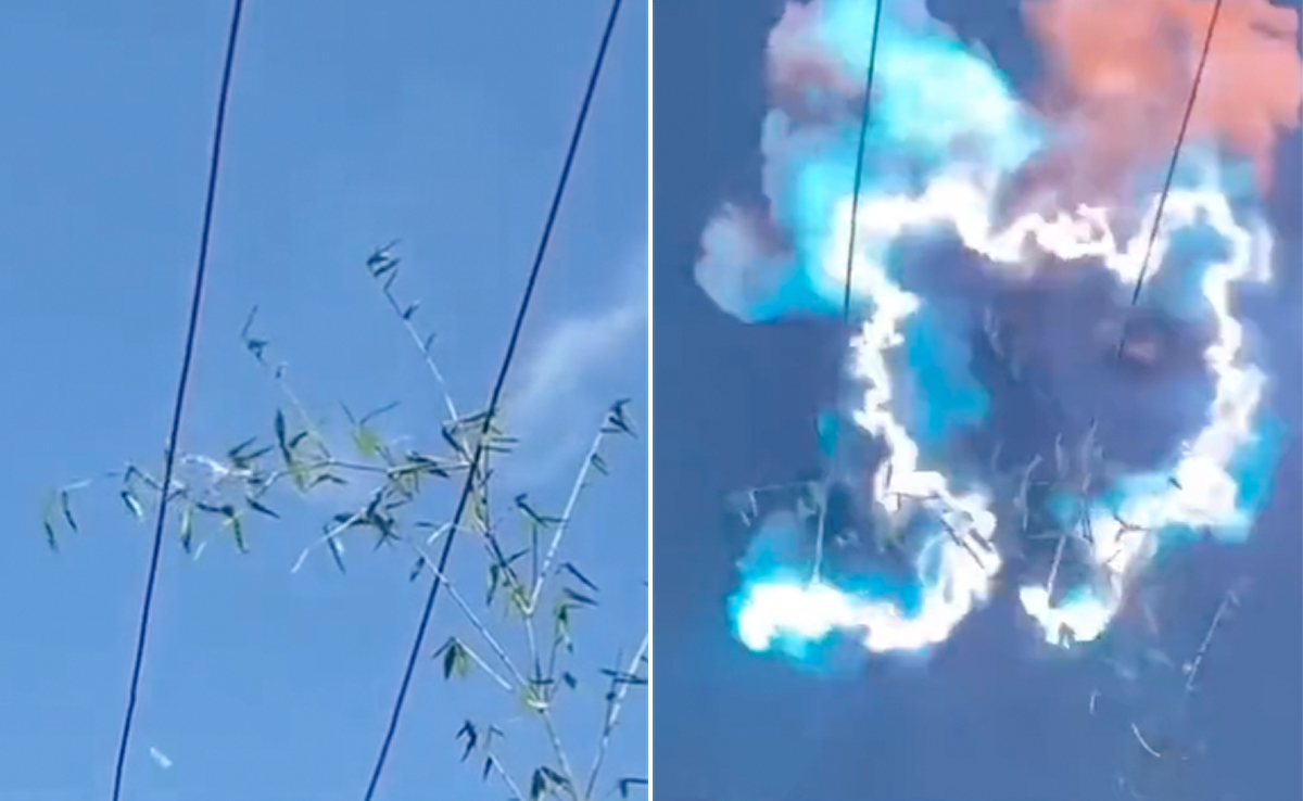 VIDEO: अचानक हरेभरे पेड़ पर दौड़ गया हाईवोल्‍टेज करंट, धू-धू कर जल उठा