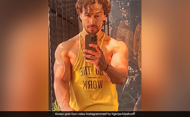 Tiger Shroff Shows Off His Post-Birthday Chiseled Physique. Watch