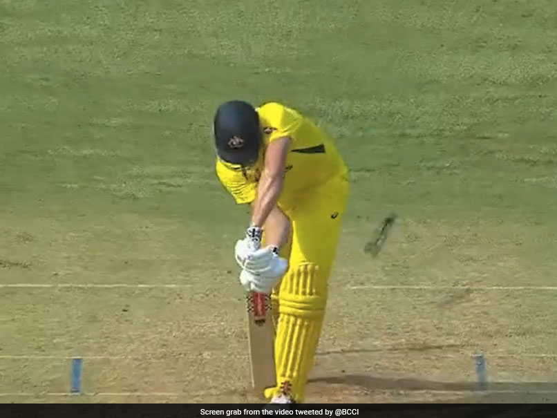 Watch: Mohammed Shami Sends Cameron Green's Stump Cartwheeling With Brilliant Delivery