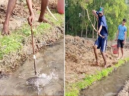 VIDEO: शख्स की तीरंदाजी देख उड़ जाएंगे होश, कभी देखी है बैंबू एरो बो फिशिंग टेकनीक? VIDEO: शख्स की तीरंदाजी देख उड़ जाएंगे होश, कभी देखी है बैंबू एरो बो फिशिंग टेकनीक?