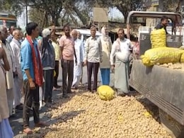 बिहार : उचित दाम नहीं मिलने से नाराज किसानों का अनोखा प्रदर्शन, एनएच-28 पर फेंका सैकड़ों बोरे आलू बिहार : उचित दाम नहीं मिलने से नाराज किसानों का अनोखा प्रदर्शन, एनएच-28 पर फेंका सैकड़ों बोरे आलू