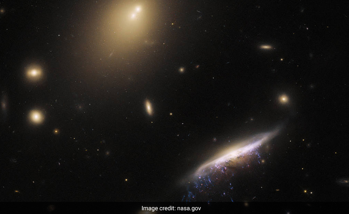 NASA's Hubble Telescope Captures Jellyfish Galaxy Over 800 Million Light-Years Away