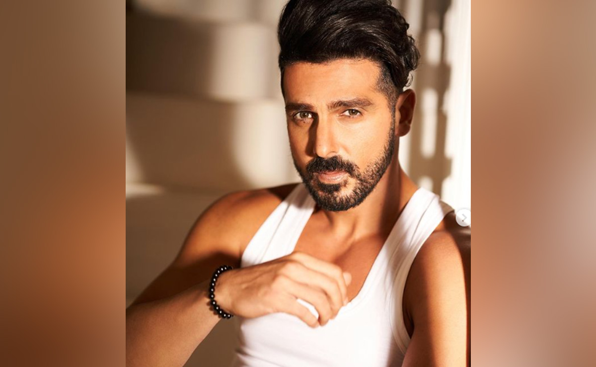 Zayed Khan Shares Work Update - "New Movie Is Just Round The Corner"