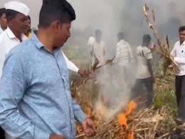 "जिस्म का पूरा खून निकाल लो लेकिन.." :  महाराष्ट्र में किसानों का रुला रही प्याज, फसल जलाने को विवश किसान की CM से गुहार "जिस्म का पूरा खून निकाल लो लेकिन.." :  महाराष्ट्र में किसानों का रुला रही प्याज, फसल जलाने को विवश किसान की CM से गुहार