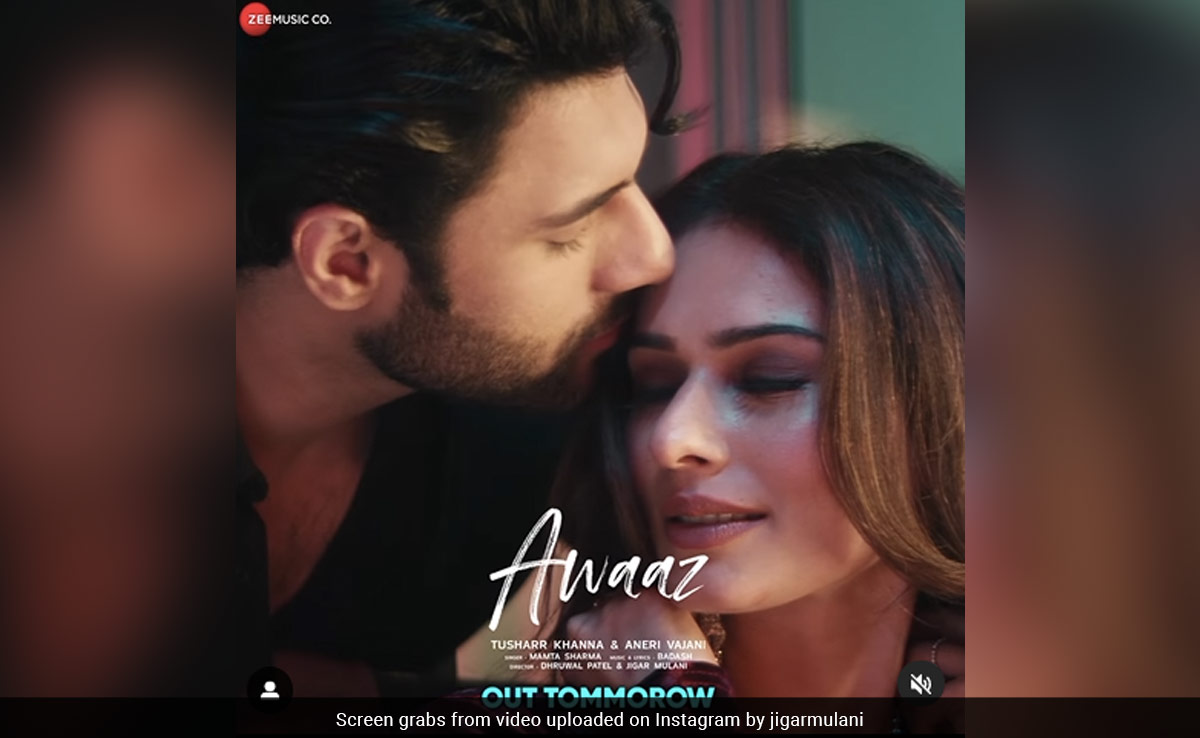 जी म्यूजिक पर रिलीज हुए निर्देशक जिगर मुलानी के नए गाने 'आवाज' ने इंटरनेट पर मचाई धूम !